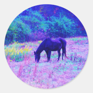 Purple Black Horse in Rainbow field Classic Round Sticker