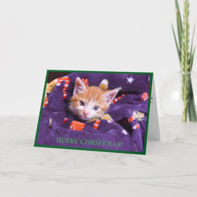 Purple Blanket Cat Merry Christmas Orange Kitten  Holiday Card (Front)