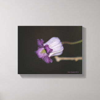 Purple Bloom Canvas Print