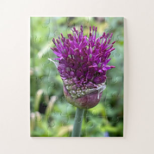 Purple Bloom of Memory   Allium Flower Botanical  Jigsaw Puzzle