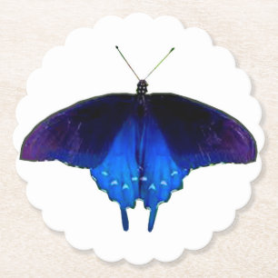 Purple Blue Butterfly Coasters (Set of 6)