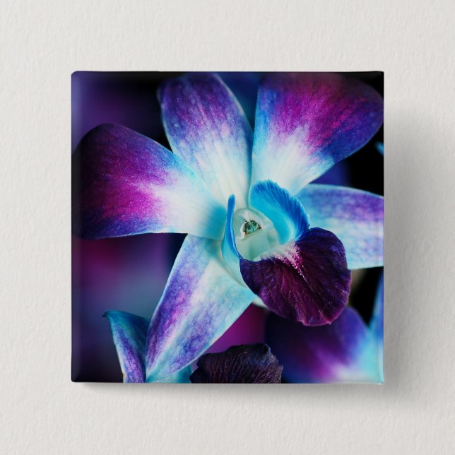 Purple & Blue Dendrobium Orchid Customized Orchids 2 Inch Square Button (Front)