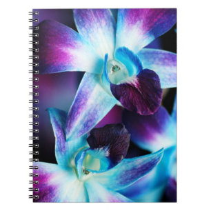 Purple & Blue Dendrobium Orchid Customized Orchids Notebook