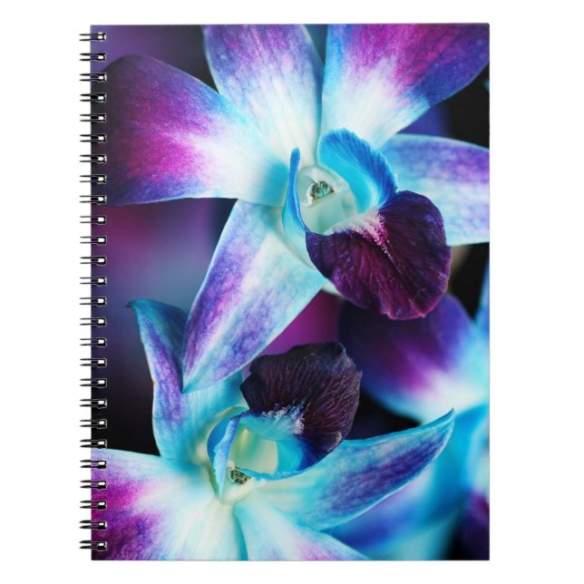 Purple & Blue Dendrobium Orchid Customized Orchids Notebook (Front)