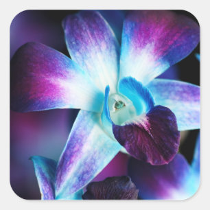 Purple & Blue Dendrobium Orchid Customized Orchids Square Sticker