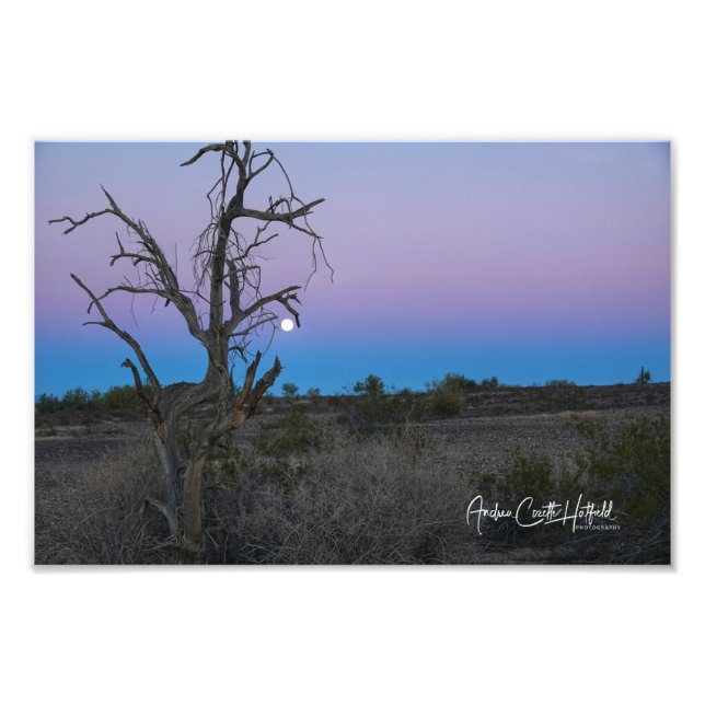 Purple Blue Desert Moon Photo Print (Front)
