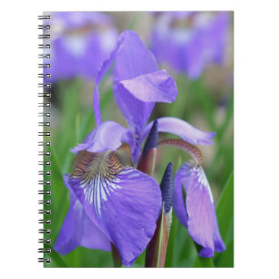 Purple Blue Flag Iris Flower Nature Notebook