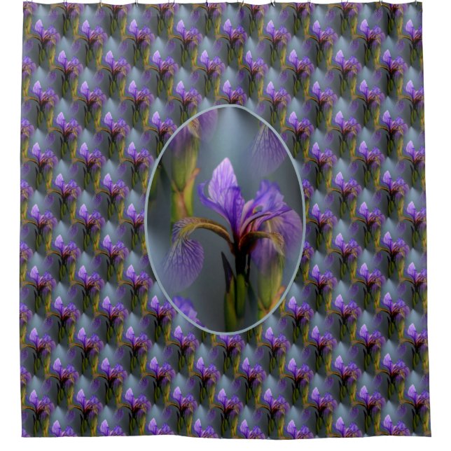Purple Blue Flag Iris Flowers Nature Pattern  (Front)