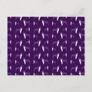 Purple boston terrier postcard