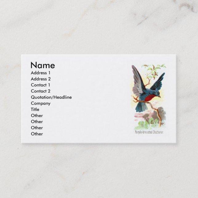 Purple Breasted Chatterer Business Card (Front)