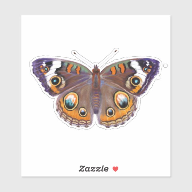 Purple Buckeye butterfly realistic painting (Sheet)