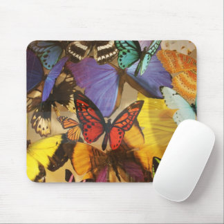 purple burgundy orange colourful tropical butterfl mouse pad