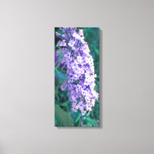 Purple Butterfly Bush Wrapped Canvas