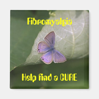 purple butterfly, Fibromyalgia Help find a CURE Magnet