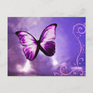 Purple Butterfly Postcard