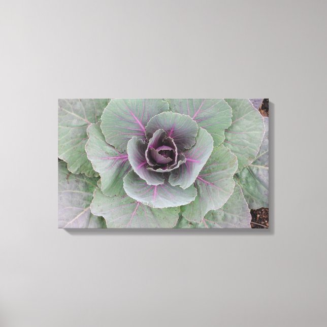 Purple Cabbage Wrapped Canvas (Front)
