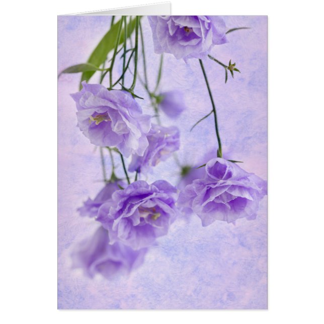 Purple Campanella Flowers Macro Card (Front)