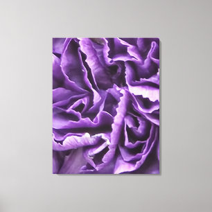 Purple Carnation Canvas Print