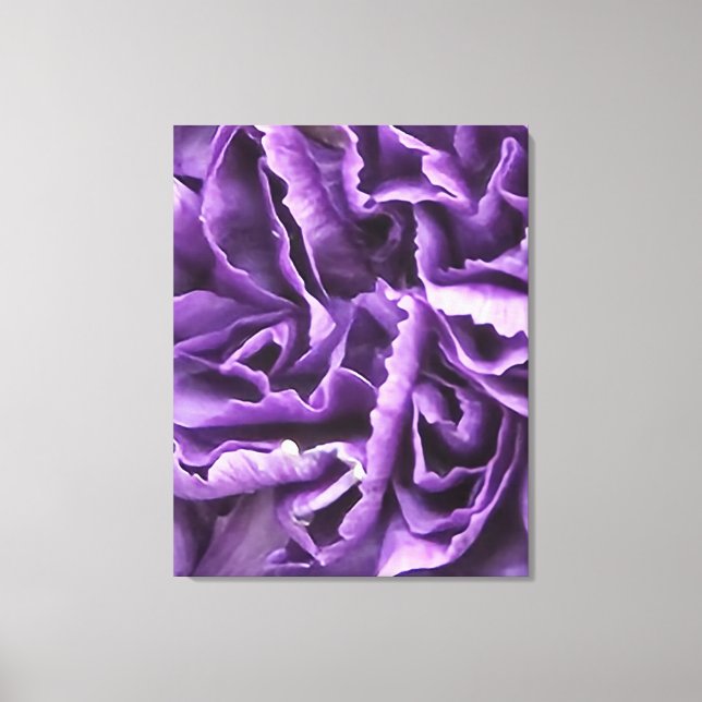 Purple Carnation Canvas Print (Front)