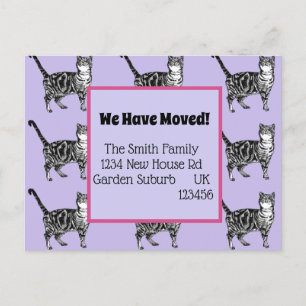 Purple Cat Nouvelle Adresse Carte Postale, Nous Dé