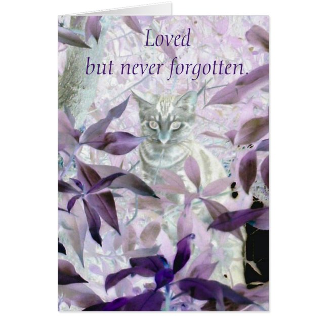Purple Cat Sympathy Pet Loss (Front)
