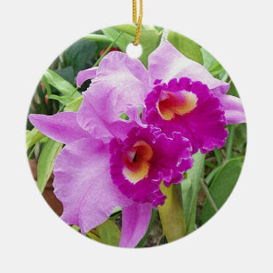 Purple Cattleya Orchids Ceramic Ornament