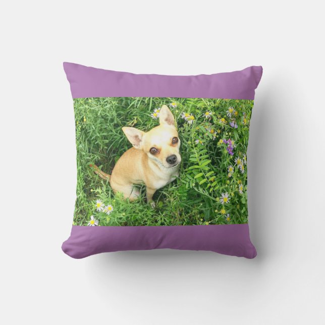 Purple chihuahua throw pillow. pillow (Front)