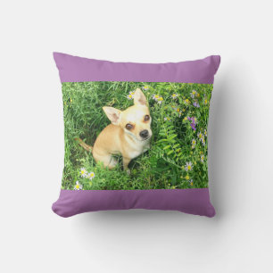 Purple chihuahua throw pillow. throw pillow