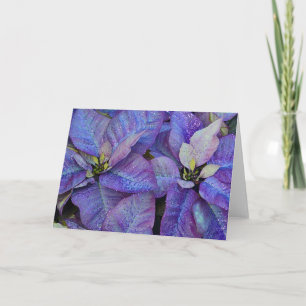Purple christmas poinsettia holiday card