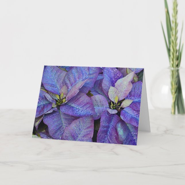 Purple christmas poinsettia holiday card (Front)
