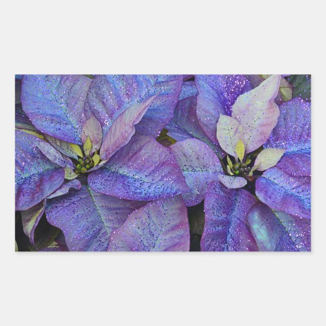 Purple christmas poinsettia sticker (Front)
