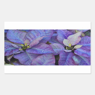 Purple christmas poinsettia sticker
