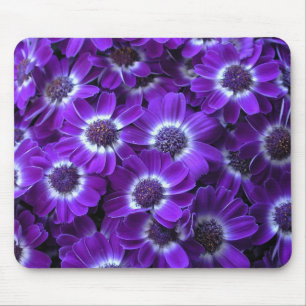 Purple Cineraria Mouse Pad