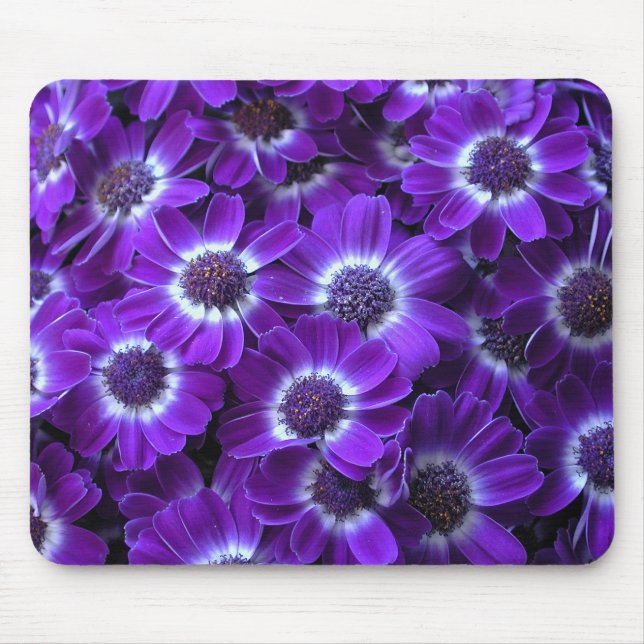 Purple Cineraria Mouse Pad (Front)