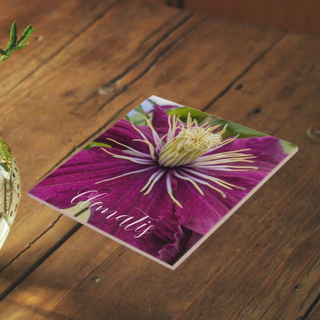 Purple Clematis Bloom Floral Tile (In Situ)