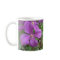Purple Clematis Cup