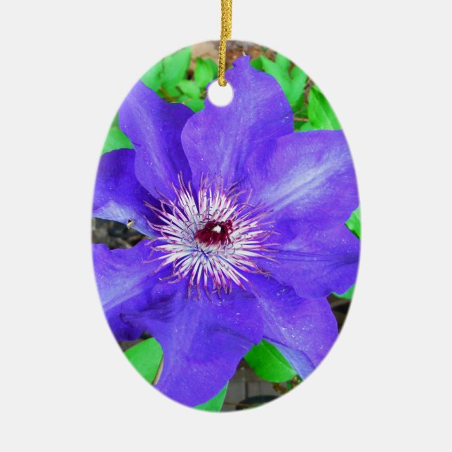 Purple Clematis Flower Ceramic Ornament (Front)