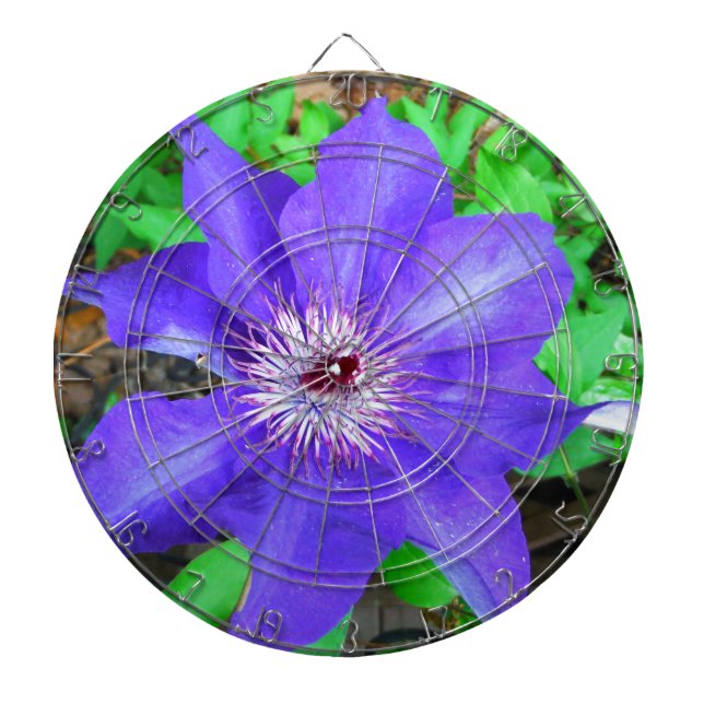 Purple Clematis Flower Dartboard (Front)