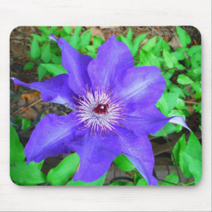 Purple Clematis Flower Mouse Pad
