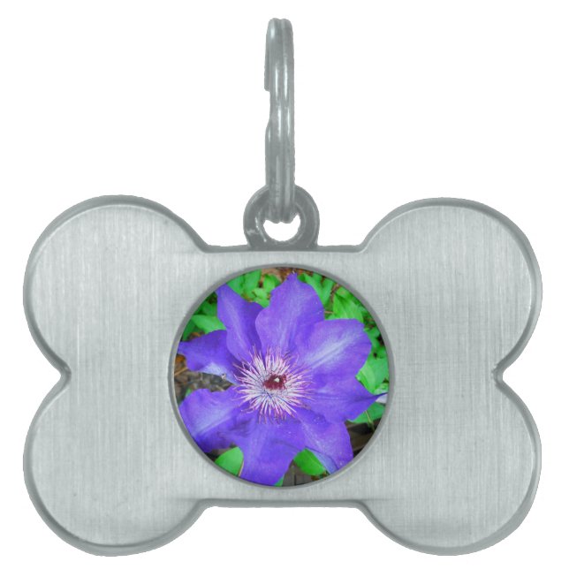 Purple Clematis Flower Pet ID Tag (Front)