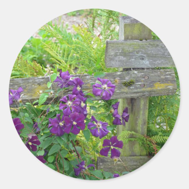 Purple clematis flowers on wooden fence classic round sticker (Front)