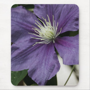 Purple Clematis Mousepad