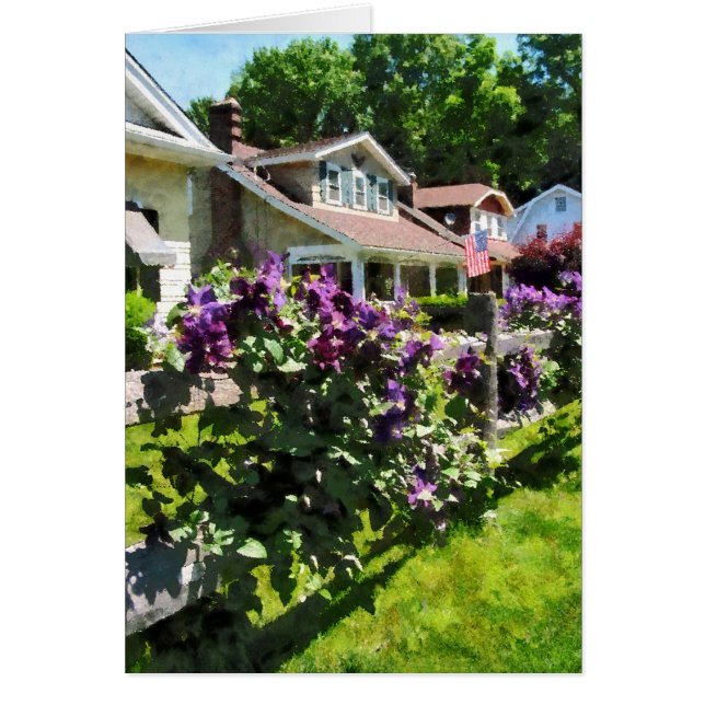 Purple Clematis on Rustic Fence (Front)