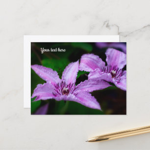 Purple Clematis Postcard