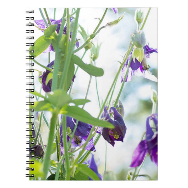 Purple Columbine Floral notebook (Front)