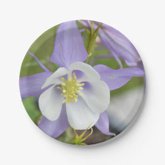 Purple Columbine Paper Plate