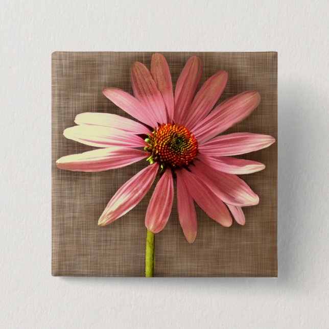 Purple Cone Flower Echinacea purpurea 2 Inch Square Button (Front)