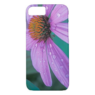 Purple Cone flower with water drops Case-Mate iPhone Case