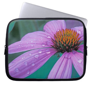 Purple Cone flower with water drops Laptop Sleeve