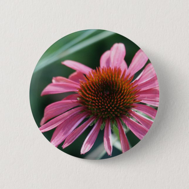 Purple Coneflower Button (Front)